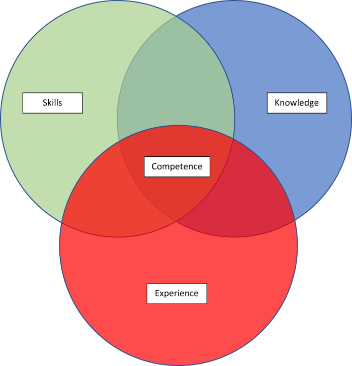 the competent person